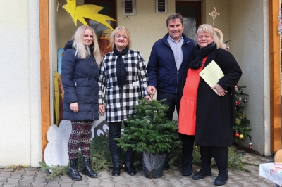 Vánoční stromečky do školek